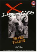 Trans plante