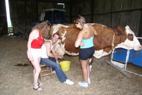 Film Les randonneuses en goguette